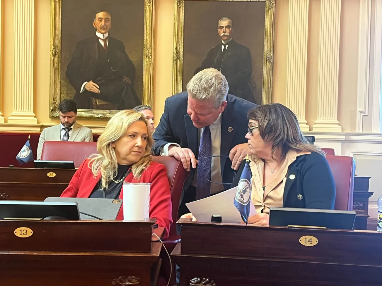 Virginia Senate approves mid-decade redistricting amendment in party-line vote