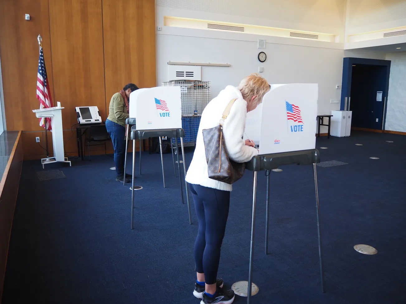 Virginia's blue wave hit Henrico; voters said it was a long time coming