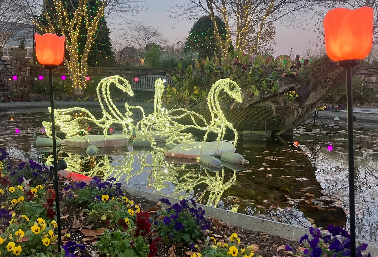 Lewis Ginter's GardenFest of Lights opens