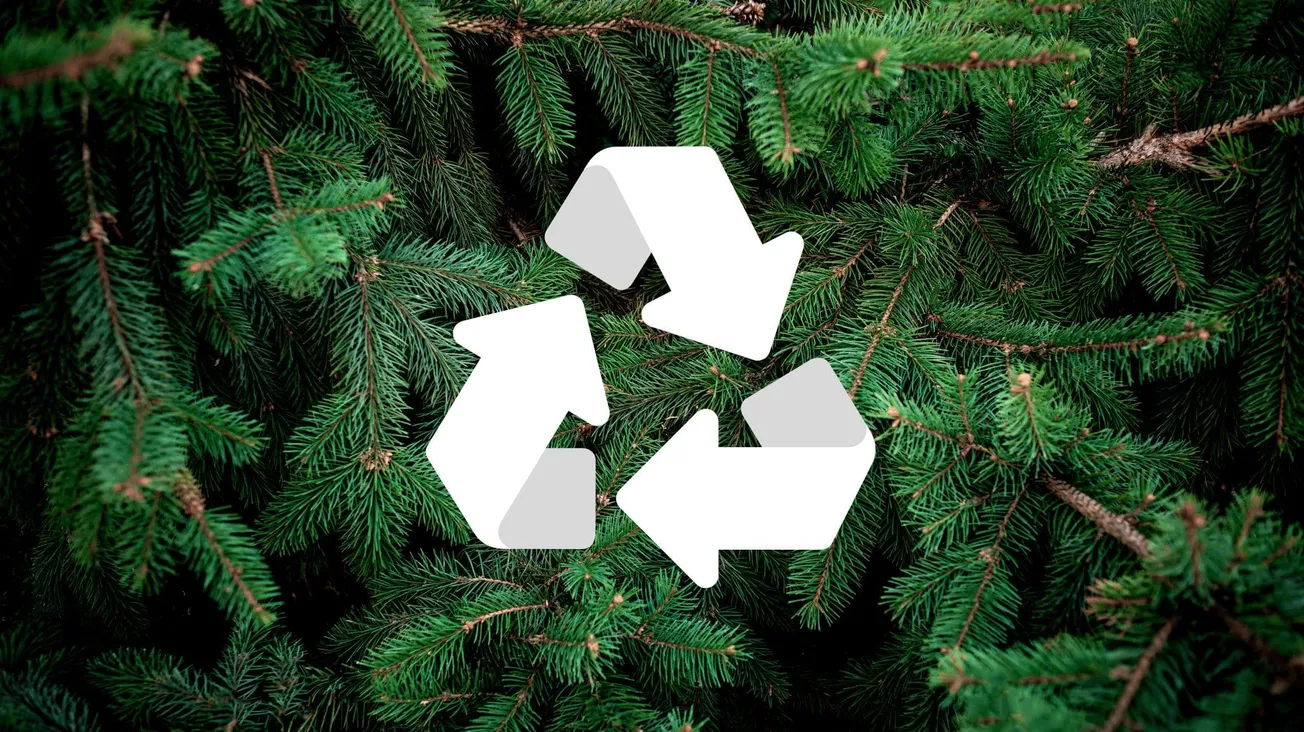 Where you can take your Christmas tree for recycling in Henrico