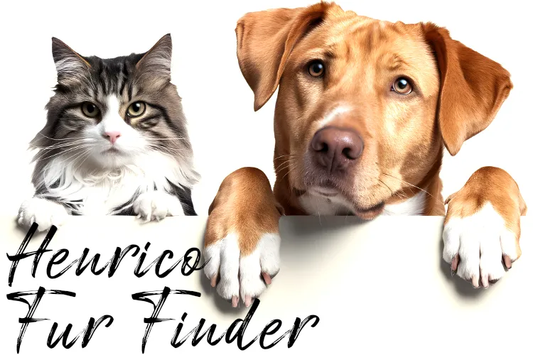 Henrico Fur Finder: Dec. 17, 2025