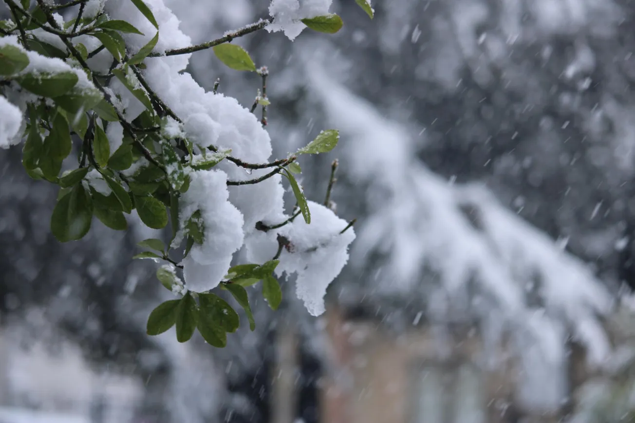 Weekend winter storm to impact all of Virginia