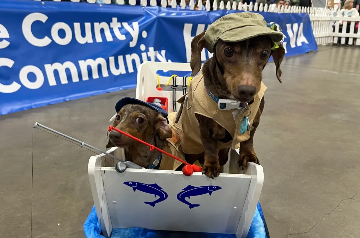 Henrico Humane Society to host 25th annual Pet Expo Feb. 21