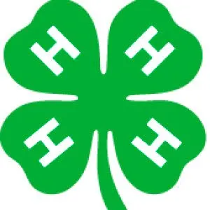 Registration opens March 18 for 2026 Henrico Junior 4-H Summer Camp