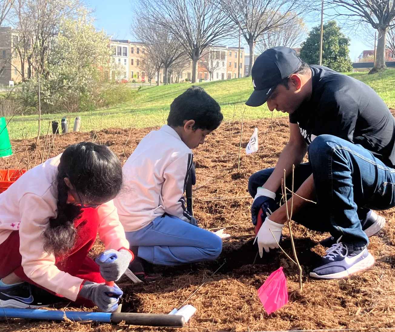 Future 'forest' takes shape at Nuckols Farm Elementary School