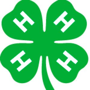 Henrico 4-H, STEM Z to offer computer coding club starting in March
